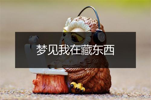 梦见我在藏东西