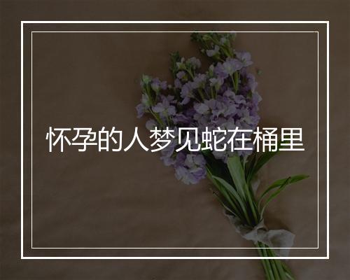 怀孕的人梦见蛇在桶里