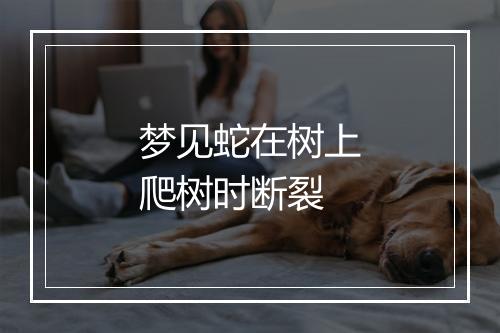 梦见蛇在树上爬树时断裂