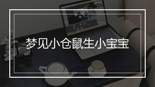 梦见小仓鼠生小宝宝