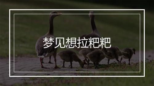 梦见想拉粑粑