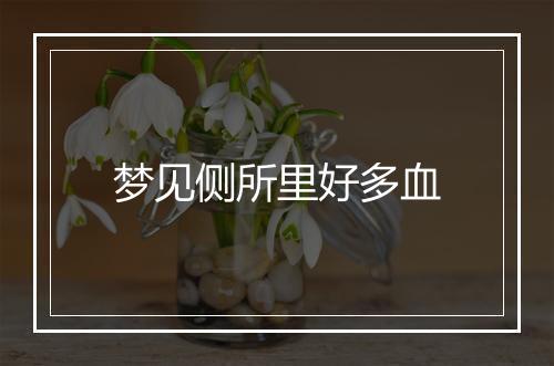 梦见侧所里好多血