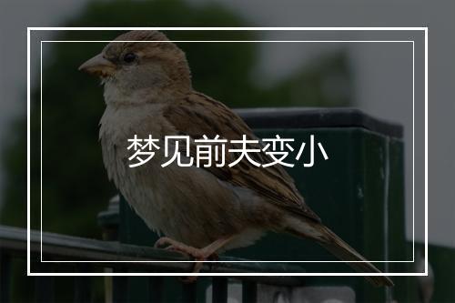 梦见前夫变小