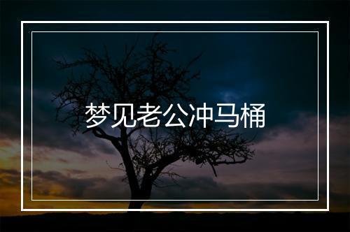 梦见老公冲马桶