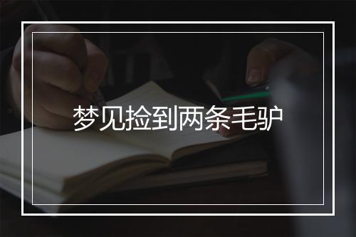 梦见捡到两条毛驴