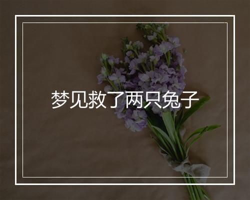 梦见救了两只兔子