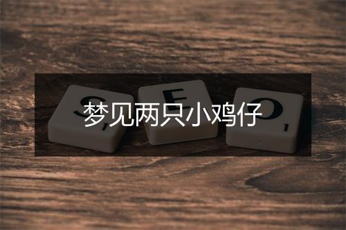 梦见两只小鸡仔