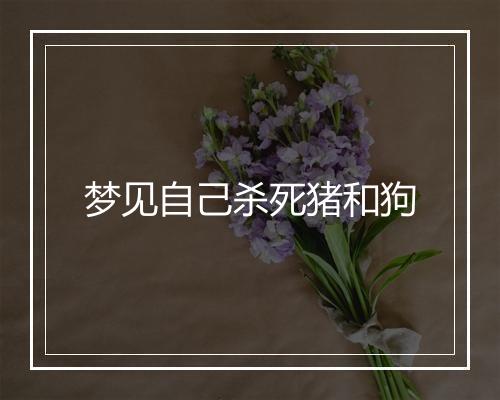 梦见自己杀死猪和狗