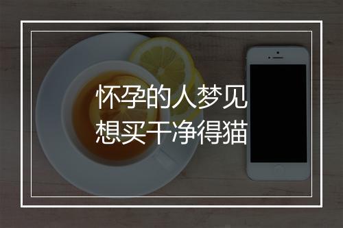 怀孕的人梦见想买干净得猫