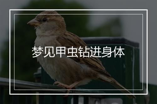 梦见甲虫钻进身体