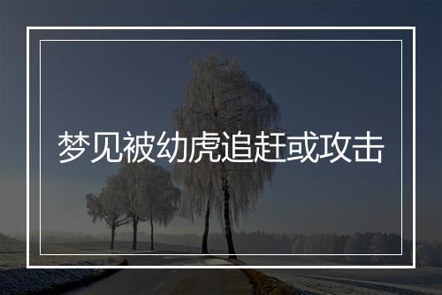 梦见被幼虎追赶或攻击