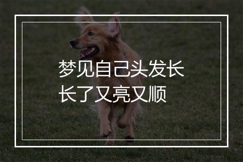 梦见自己头发长长了又亮又顺