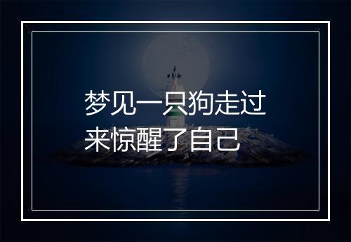 梦见一只狗走过来惊醒了自己