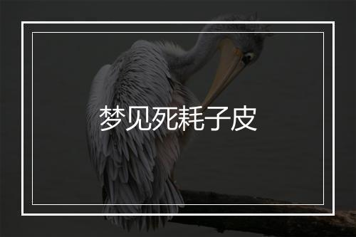 梦见死耗子皮