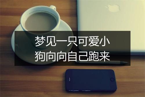 梦见一只可爱小狗向向自己跑来