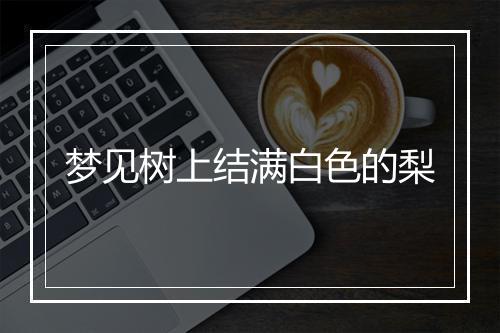 梦见树上结满白色的梨