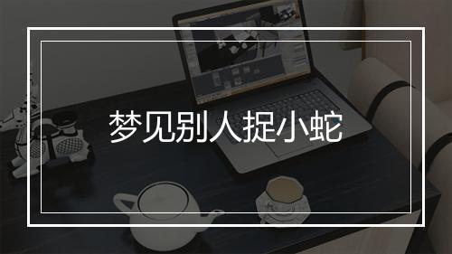 梦见别人捉小蛇