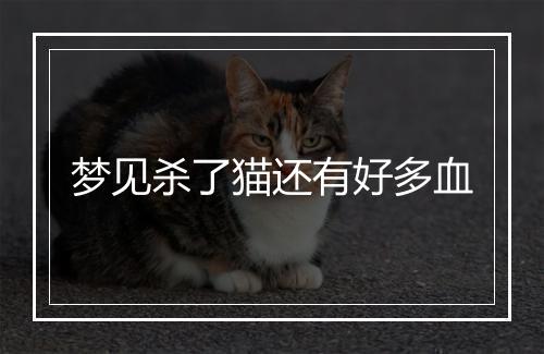 梦见杀了猫还有好多血