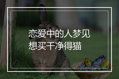 恋爱中的人梦见想买干净得猫