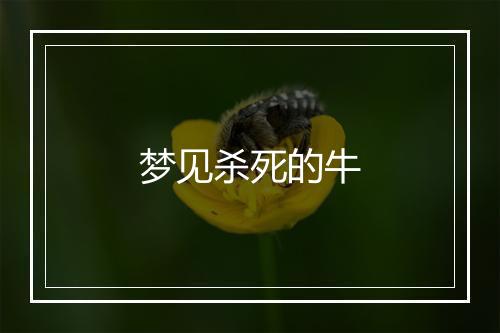 梦见杀死的牛