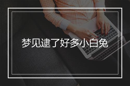 梦见逮了好多小白兔