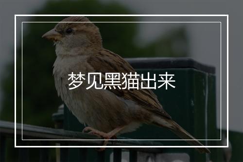 梦见黑猫出来