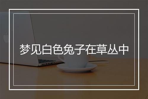 梦见白色兔子在草丛中