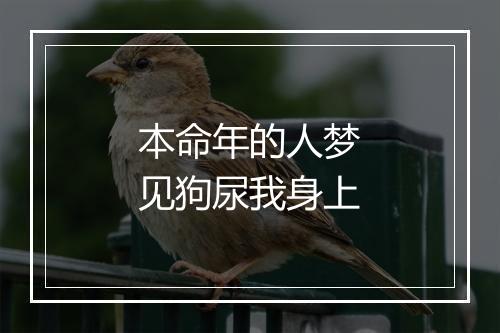 本命年的人梦见狗尿我身上