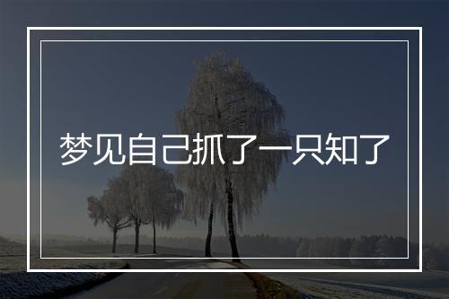 梦见自己抓了一只知了