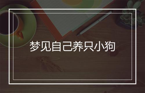 梦见自己养只小狗