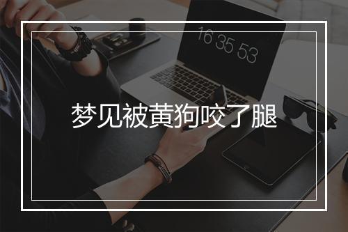 梦见被黄狗咬了腿