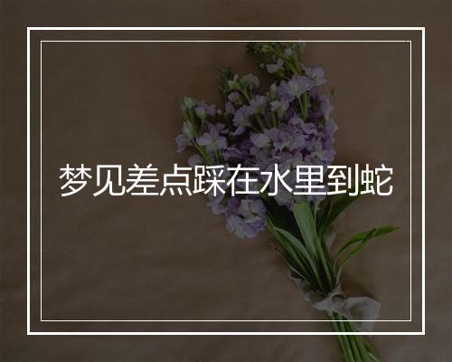 梦见差点踩在水里到蛇