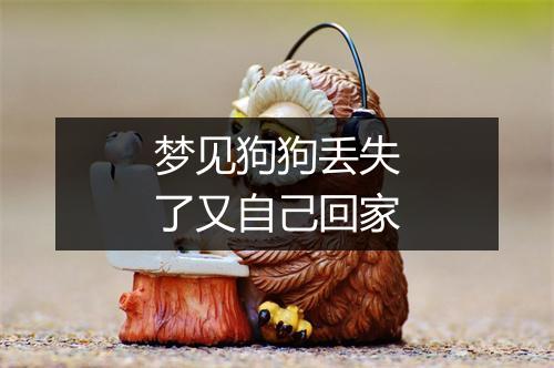 梦见狗狗丢失了又自己回家