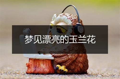 梦见漂亮的玉兰花