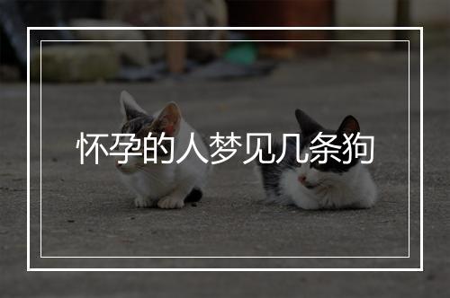 怀孕的人梦见几条狗