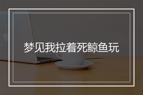 梦见我拉着死鲸鱼玩