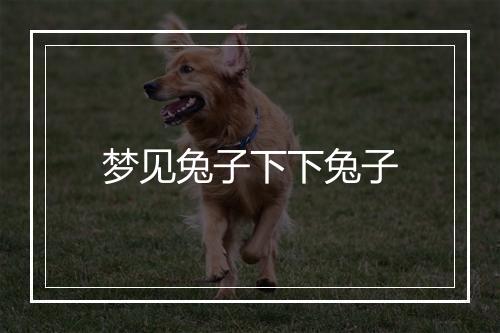 梦见兔子下下兔子