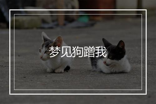 梦见狗蹭我