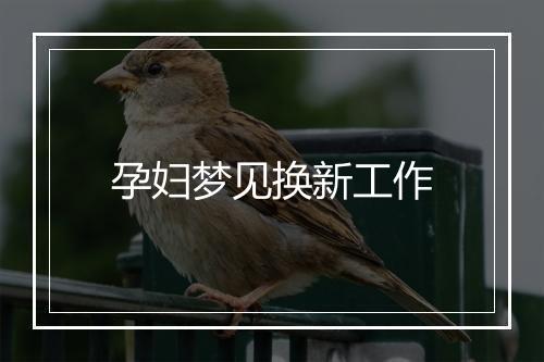 孕妇梦见换新工作