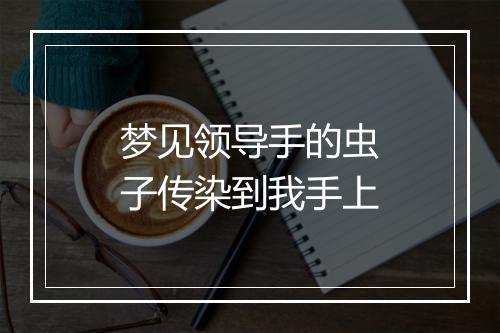 梦见领导手的虫子传染到我手上