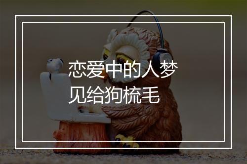 恋爱中的人梦见给狗梳毛