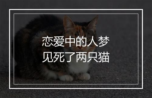 恋爱中的人梦见死了两只猫