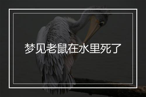 梦见老鼠在水里死了