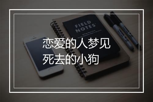 恋爱的人梦见死去的小狗