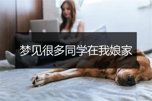 梦见很多同学在我娘家