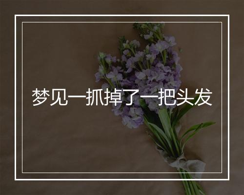 梦见一抓掉了一把头发