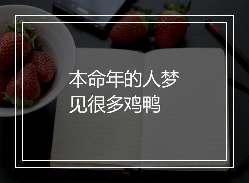 本命年的人梦见很多鸡鸭