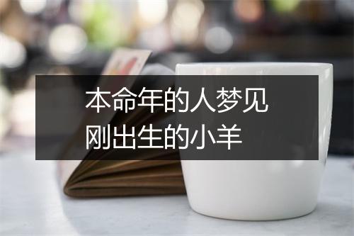 本命年的人梦见刚出生的小羊