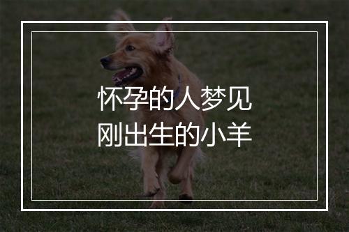 怀孕的人梦见刚出生的小羊