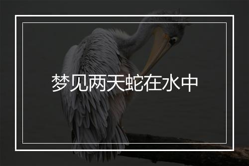 梦见两天蛇在水中